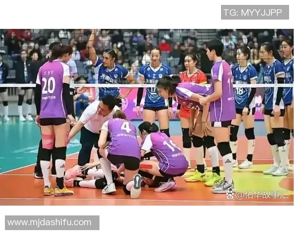 上海排球队力量之争引发热议球迷与专家观点交锋